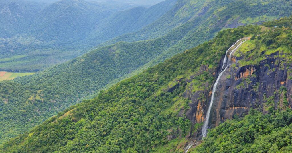 Thekkady