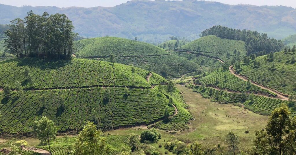 places to visit in munnar